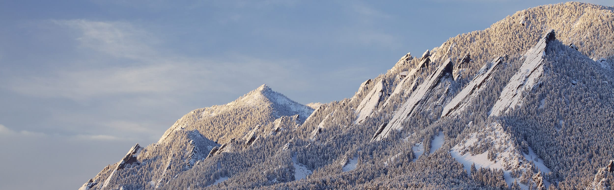 there is a snow covered mountain with a few trees on it