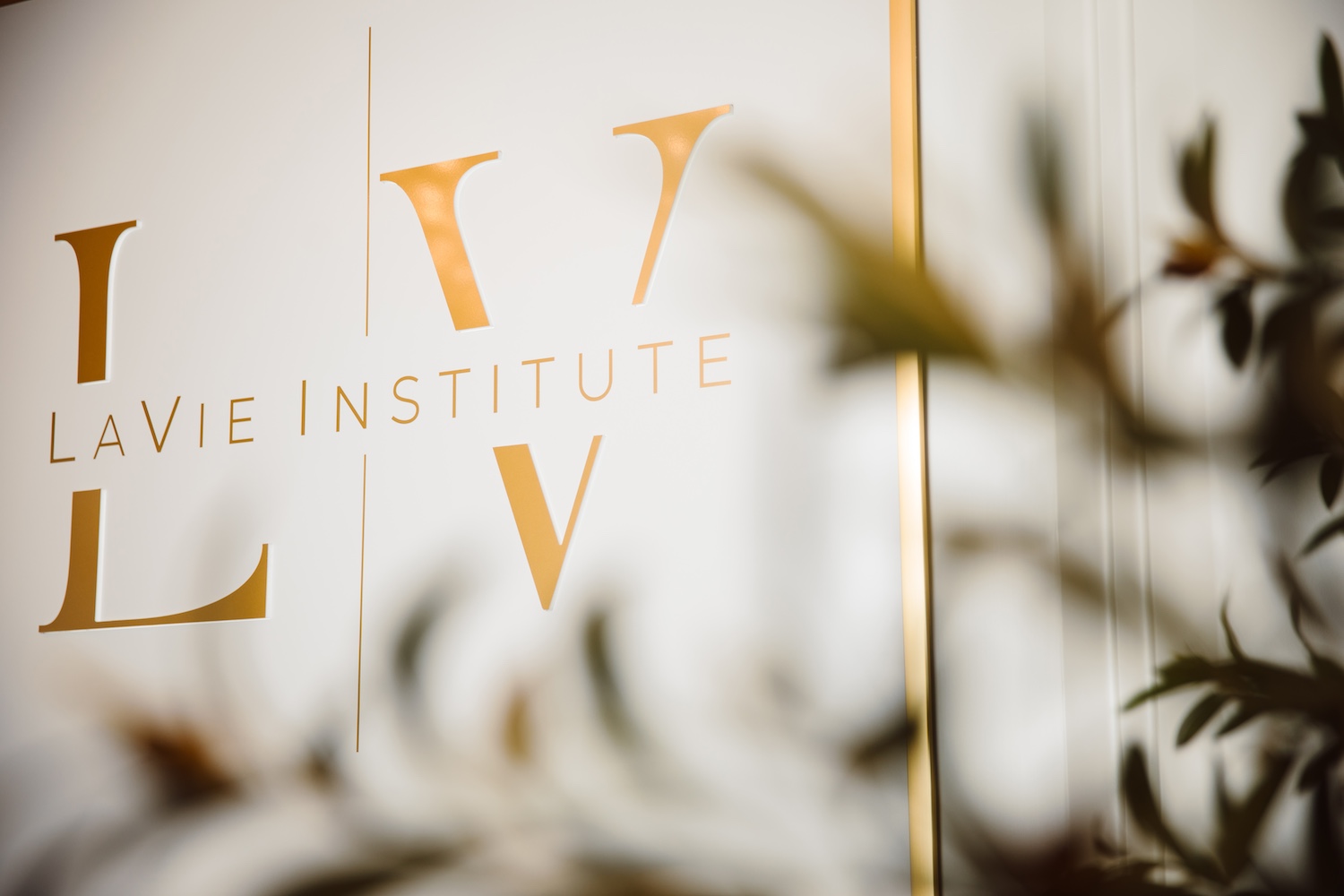 interior of LaVie Plastic Surgery