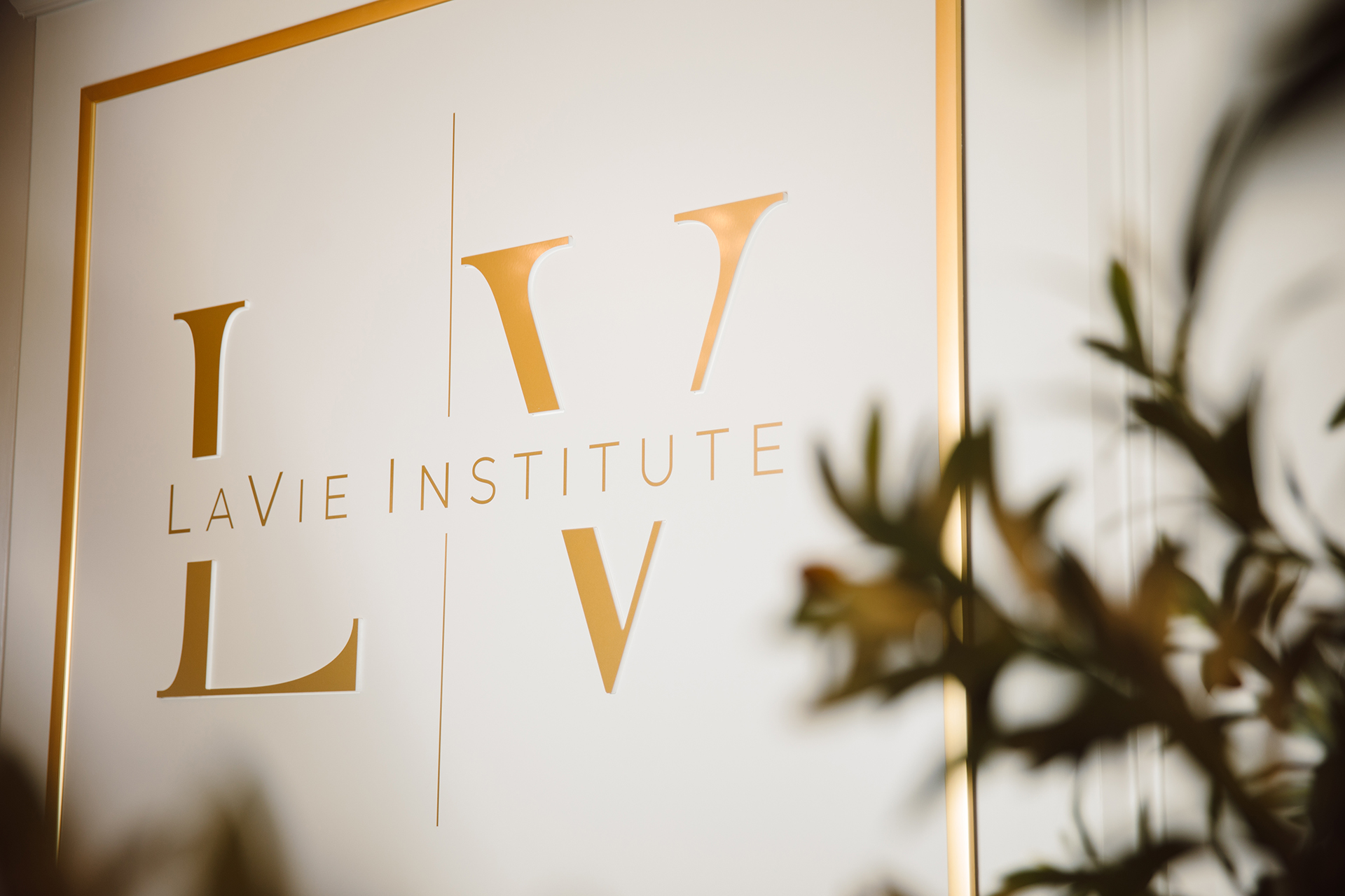 lavie plastic surgery sign